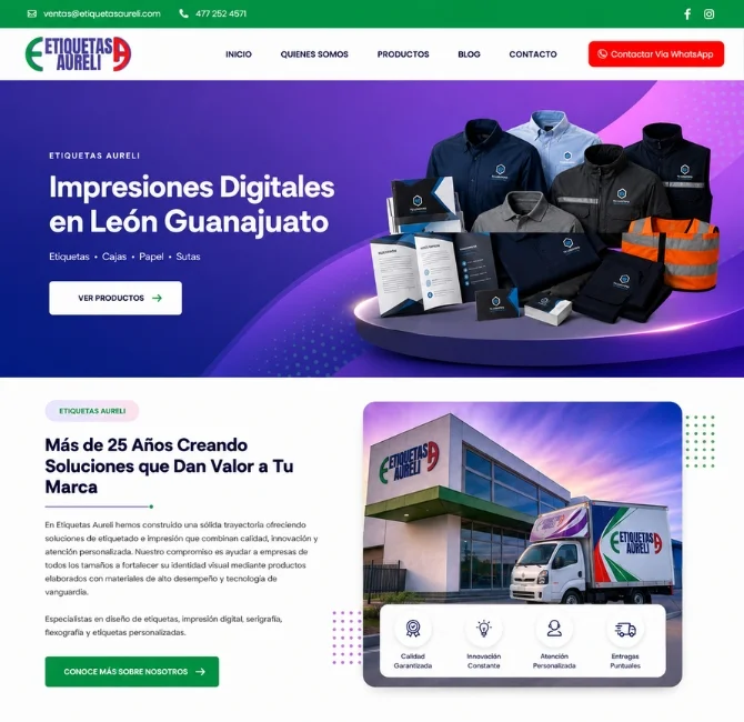 páginas web Aguascalientes