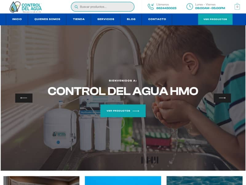 paginas tiendas en linea aguascalientes